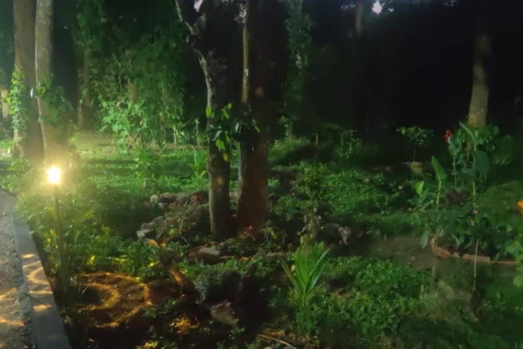 Photo of Outdoor in Virarajendrapet
