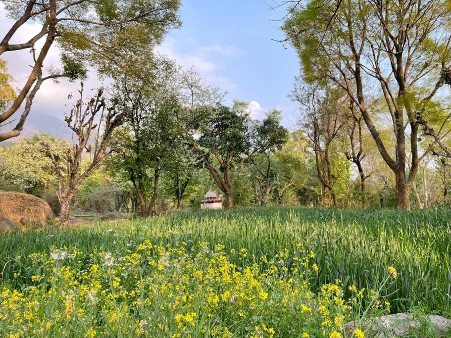 Photo of Outdoor in Sidhpur