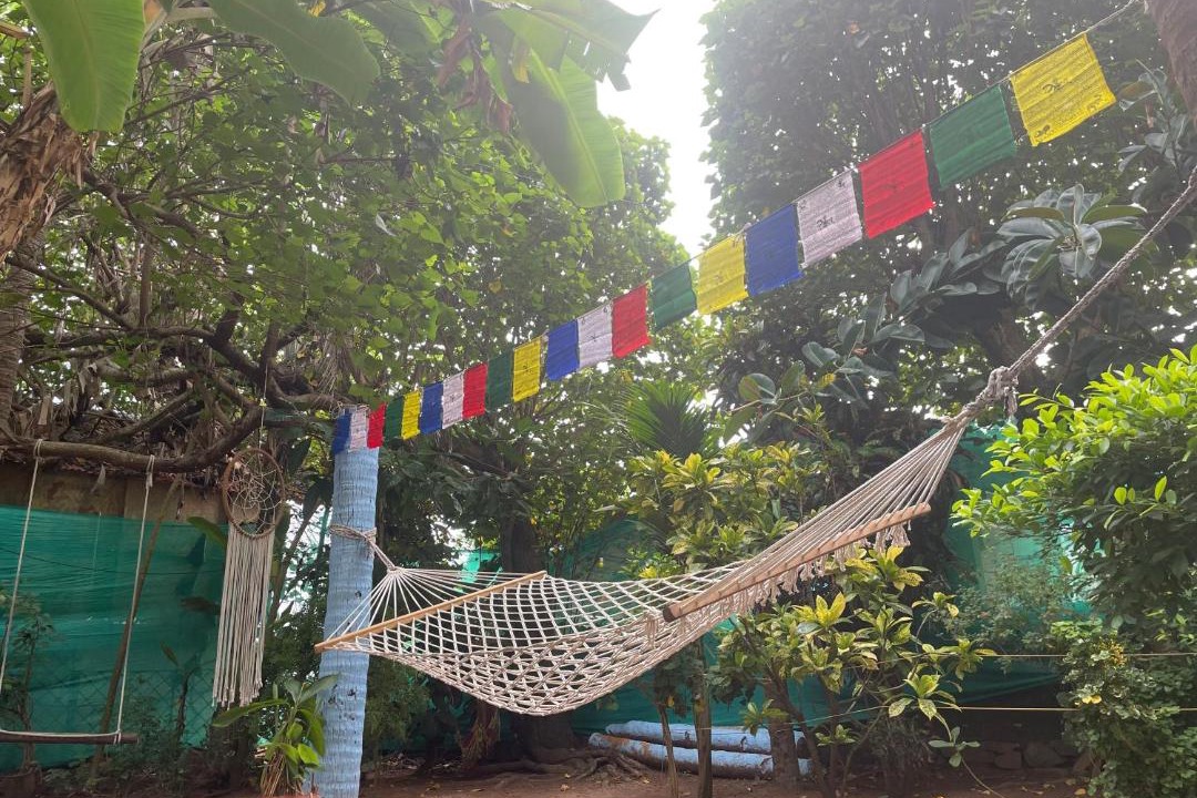 Photo of Others in Varkala