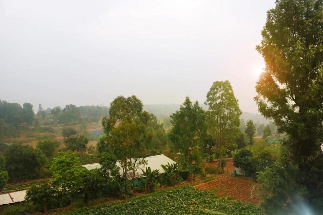 Photo of Outdoor in Medha