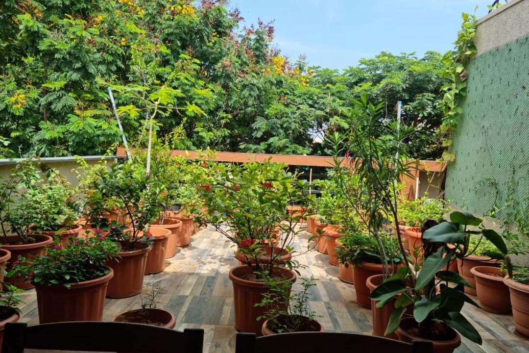 Photo of Patio Balcony in Begumpet