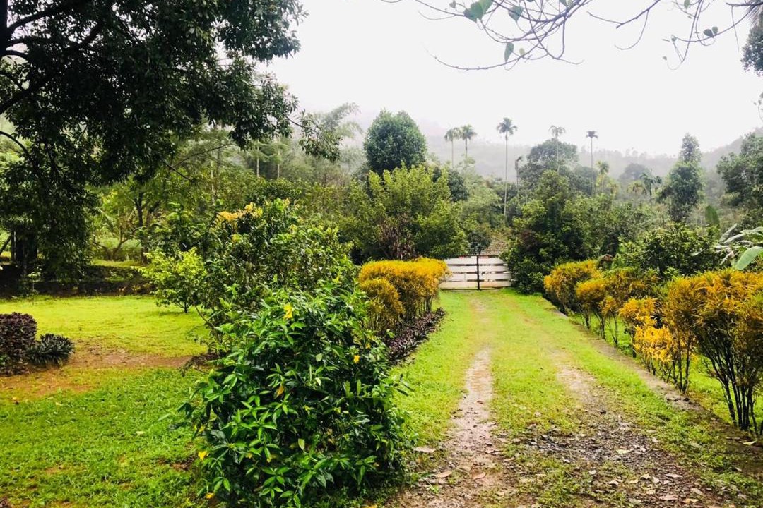 Photo of Outdoor in Lakkidi
