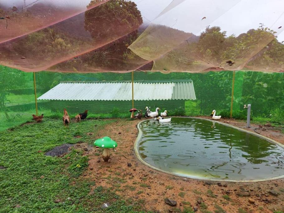 Photo of Outdoor in Lakkidi
