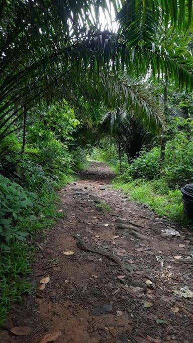 Photo of Outdoor in Lakkidi