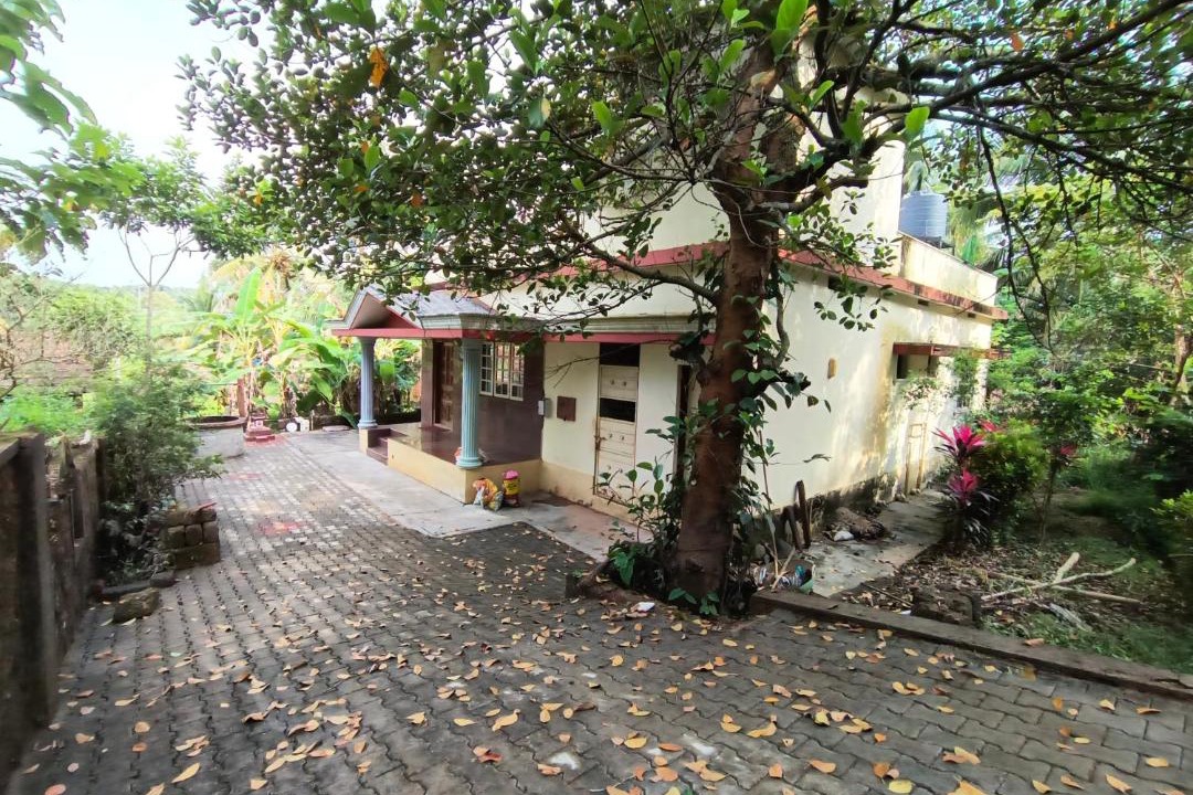 Photo of Buildings in Adyar