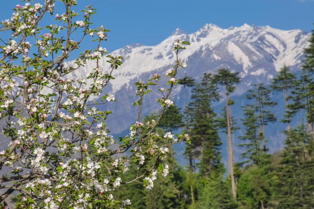 Photo of Outdoor in Jibhi