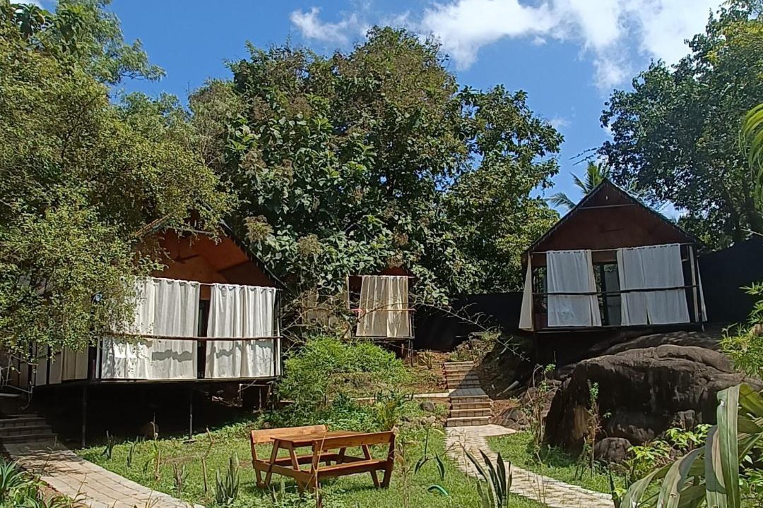 Photo of Others in Palolem