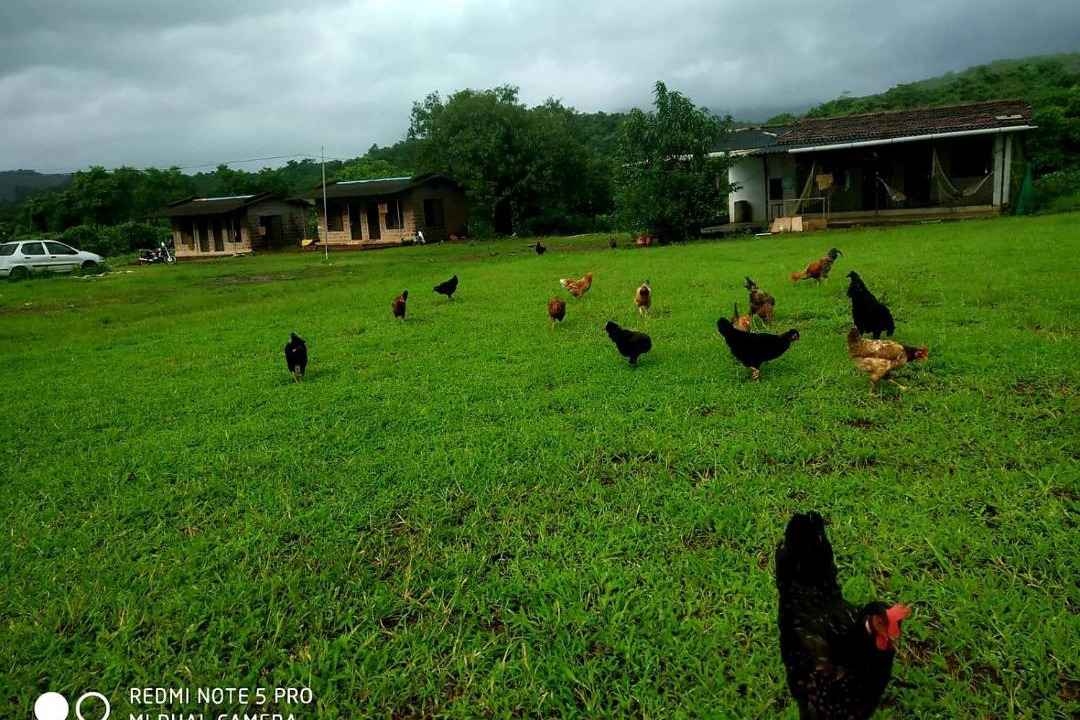 Photo of Others in Pali