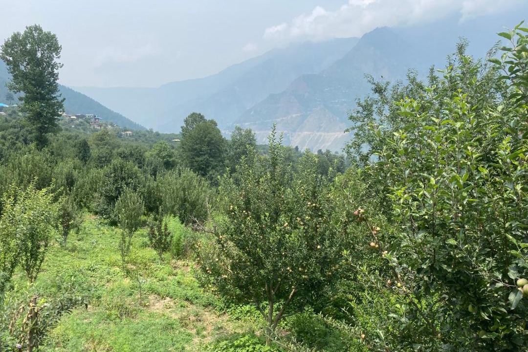 Photo of Outdoor in Kullu