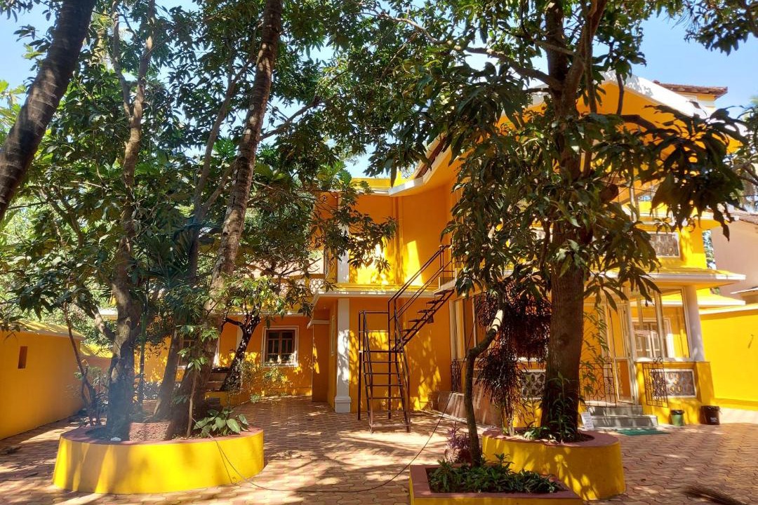Photo of Buildings in Parra