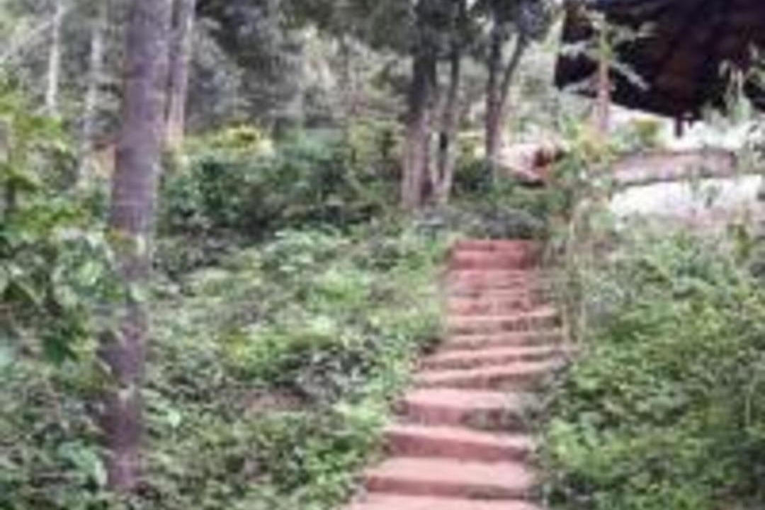 Photo of Others in Chikkamagaluru