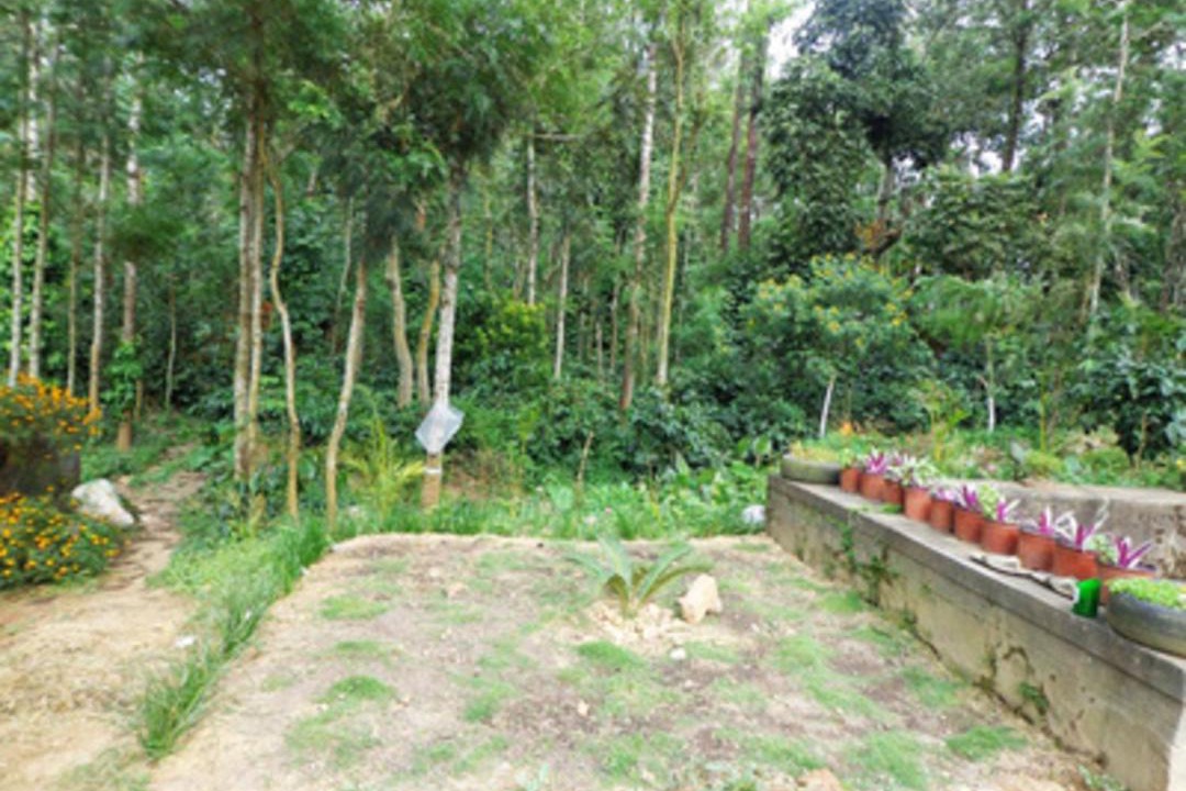Photo of Others in Chikkamagaluru