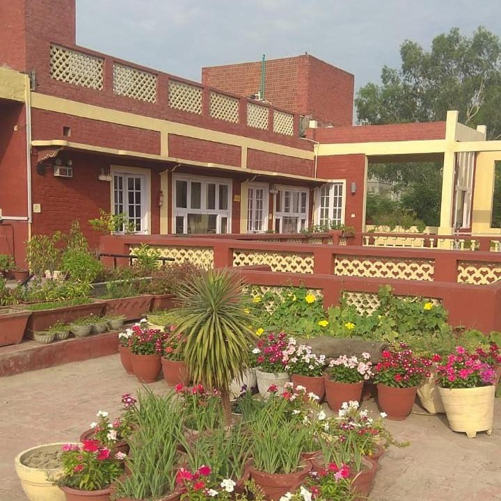 Photo of Others in Amritsar