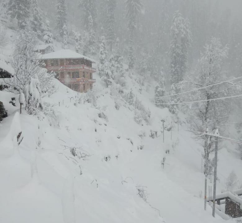 Photo of Others in Shoja