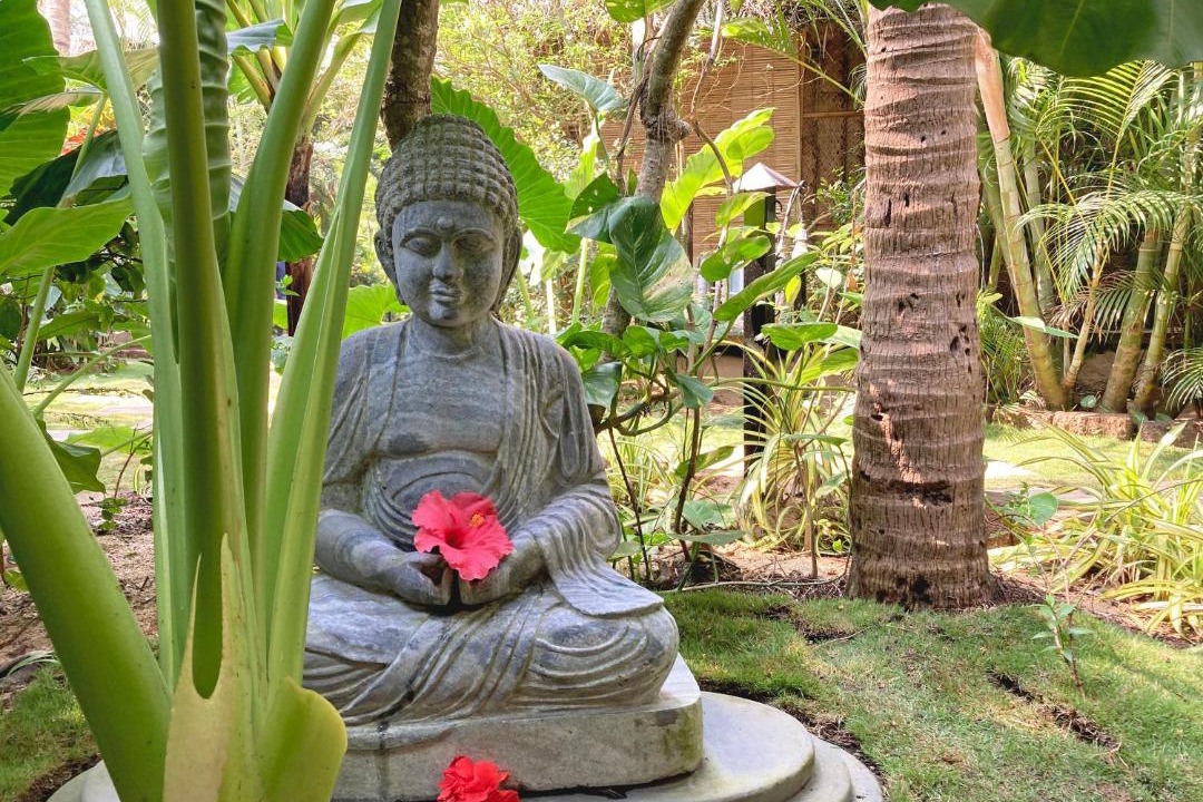 Photo of Others in Agonda