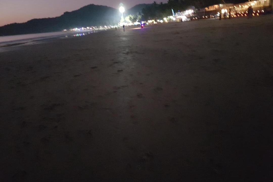 Photo of Others in Palolem