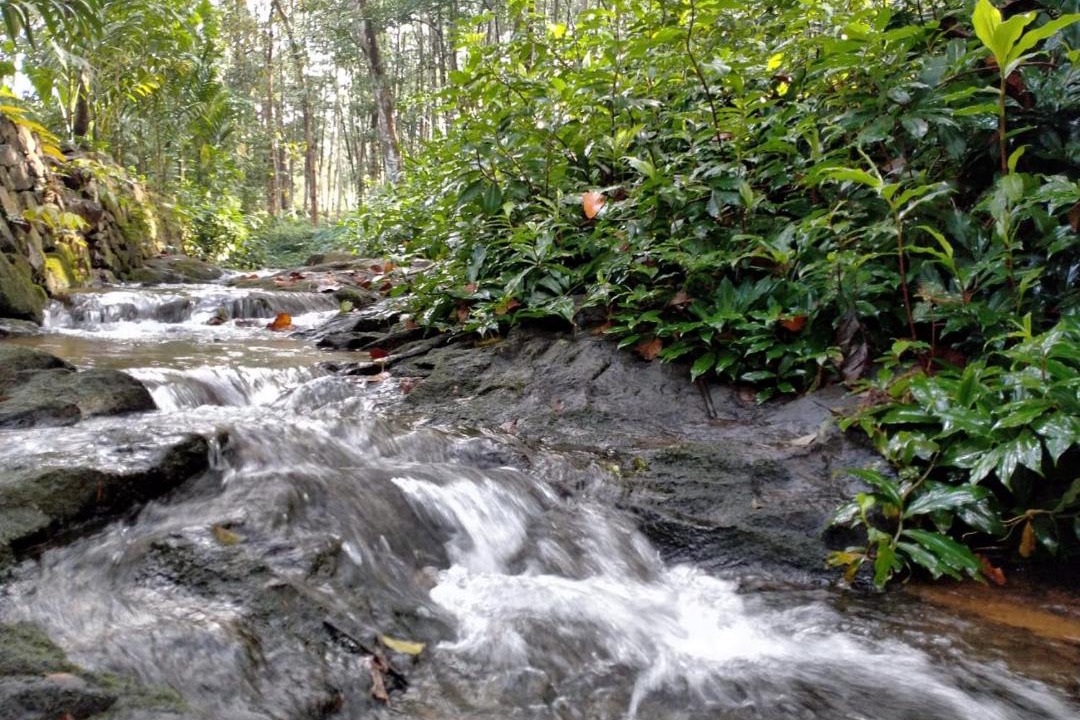 Photo of Others in Kanjirappally