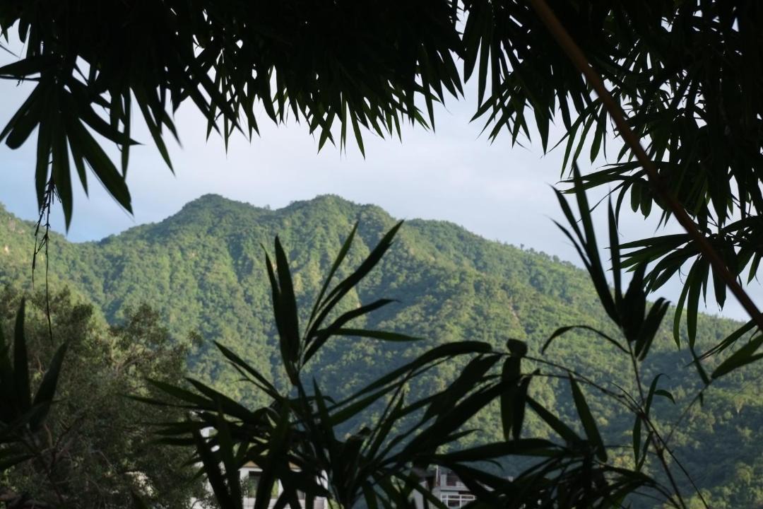 Photo of Others in Tapovan