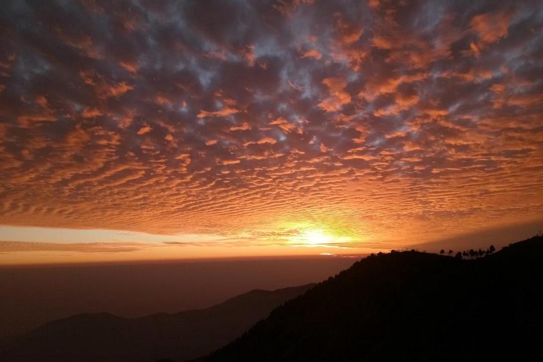 Photo of Others in Kanatal