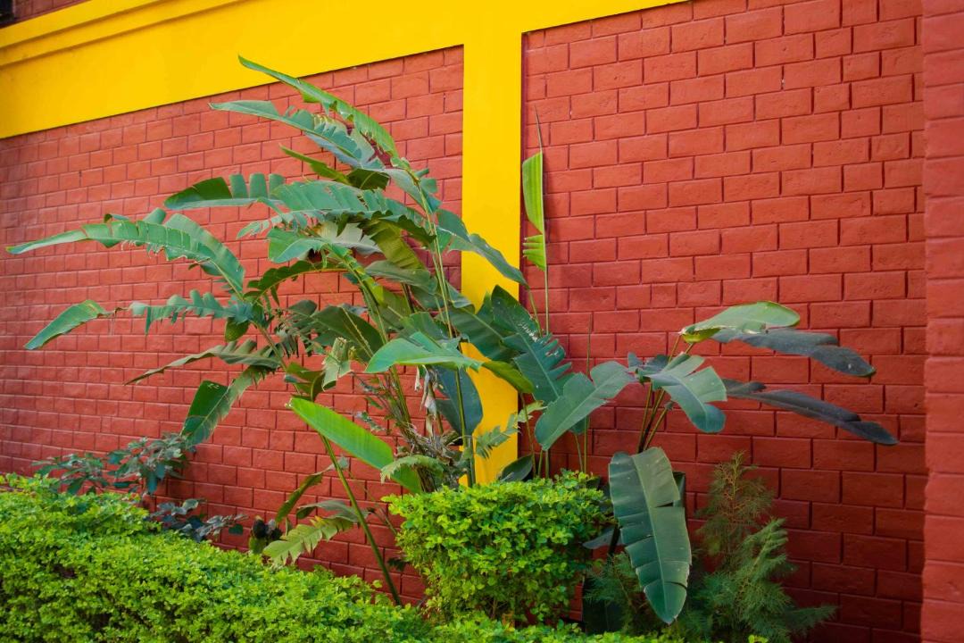 Photo of Others in Tapovan