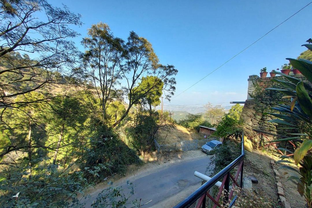 Photo of Others in Kasauli
