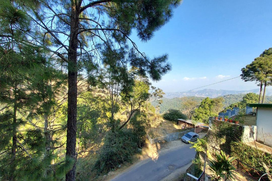 Photo of Outdoor in Kasauli