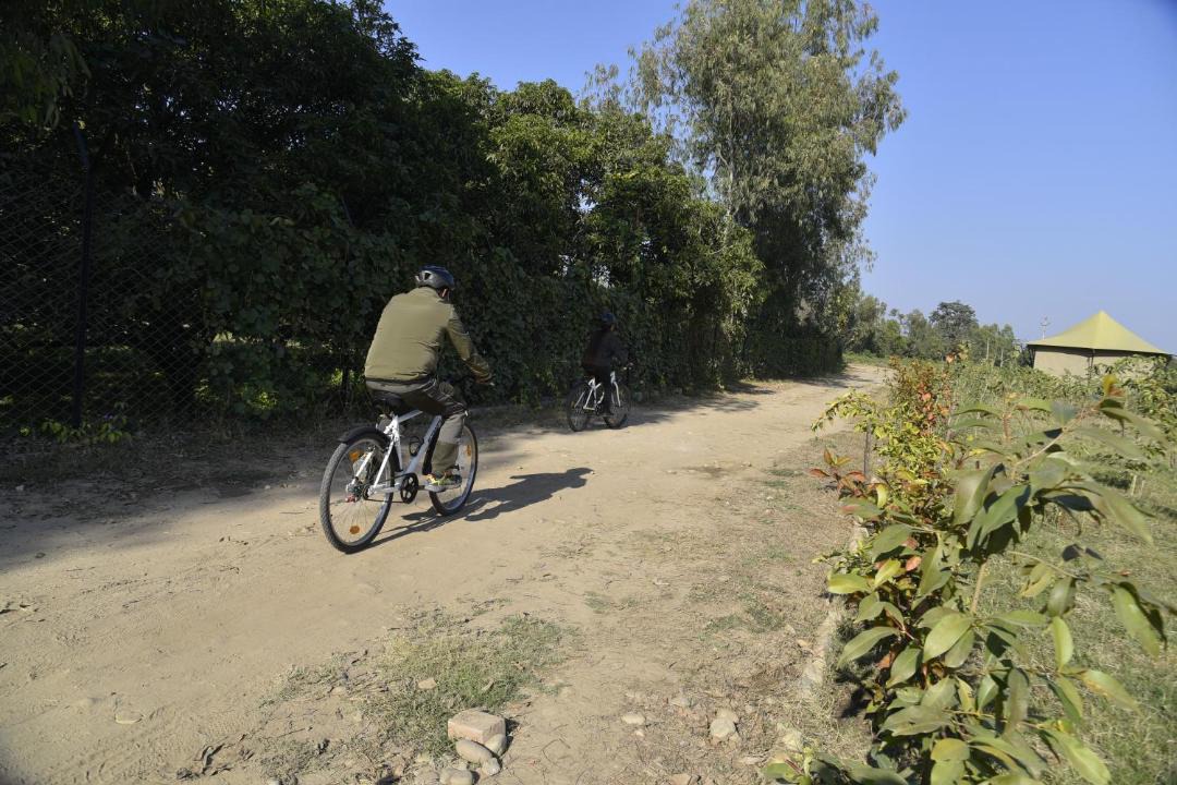 Photo of Others in Roorkee