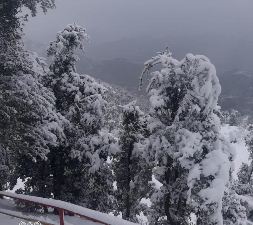 Photo of Others in Kanatal