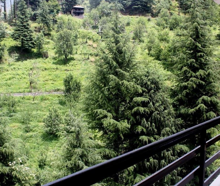 Photo of Others in Naggar