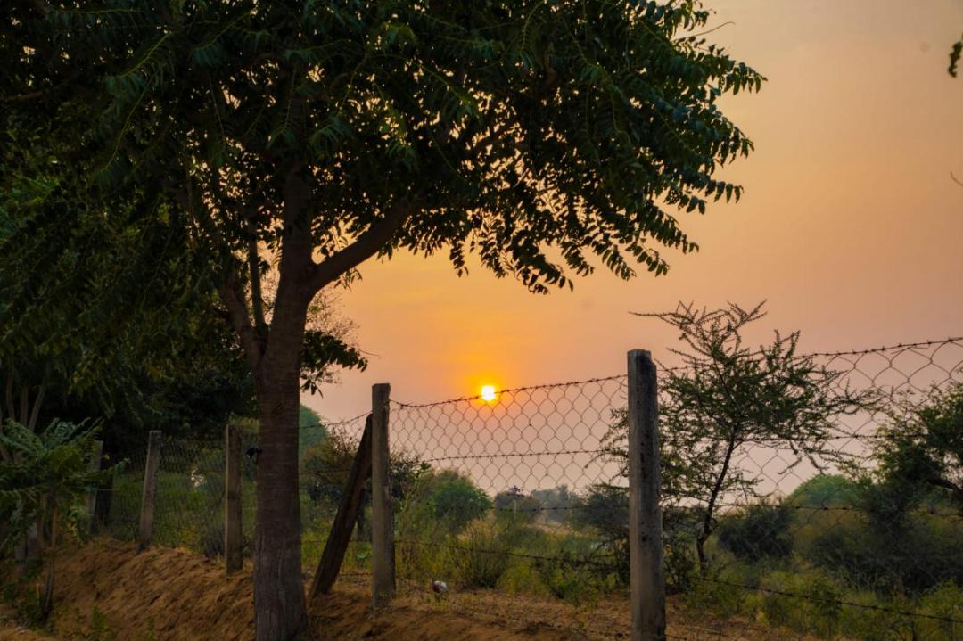 Photo of Outdoor in Village Hokra