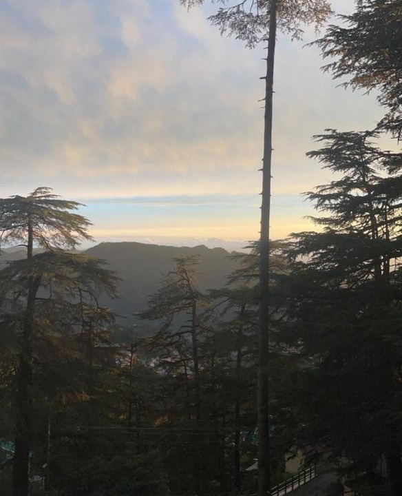 Photo of Others in Chhota Shimla