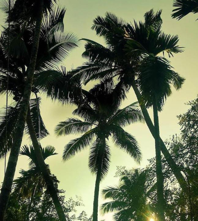 Photo of Outdoor in Diveagar