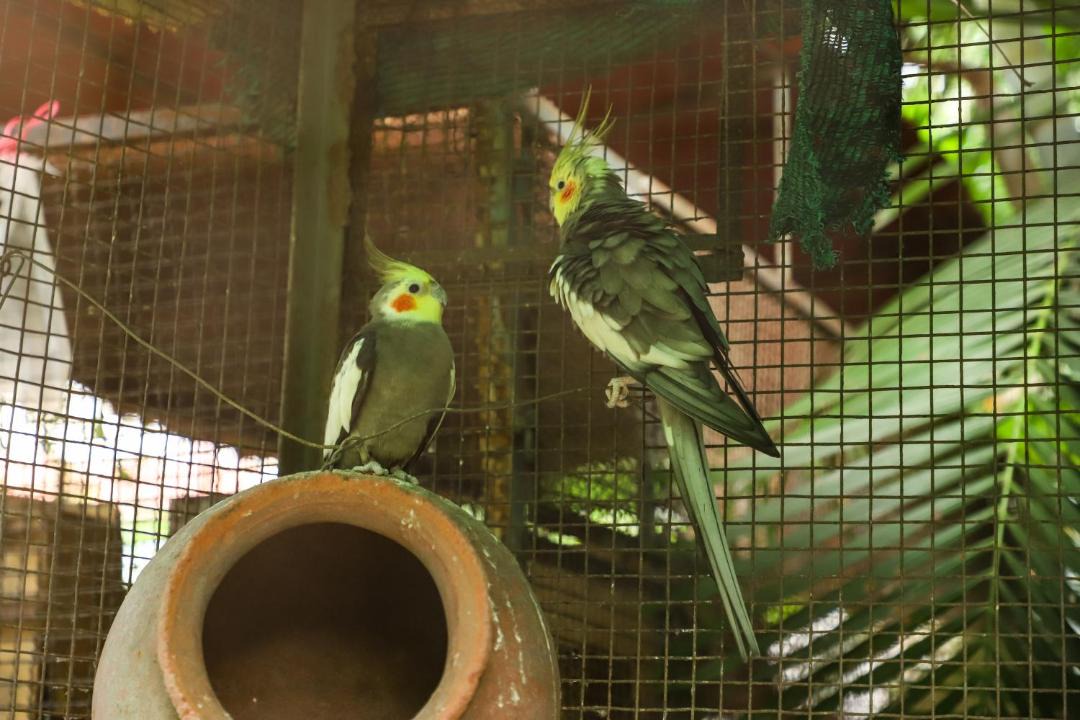 Photo of Others in Kihim