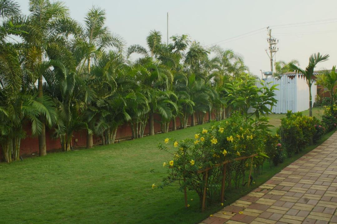 Photo of Others in Arambol