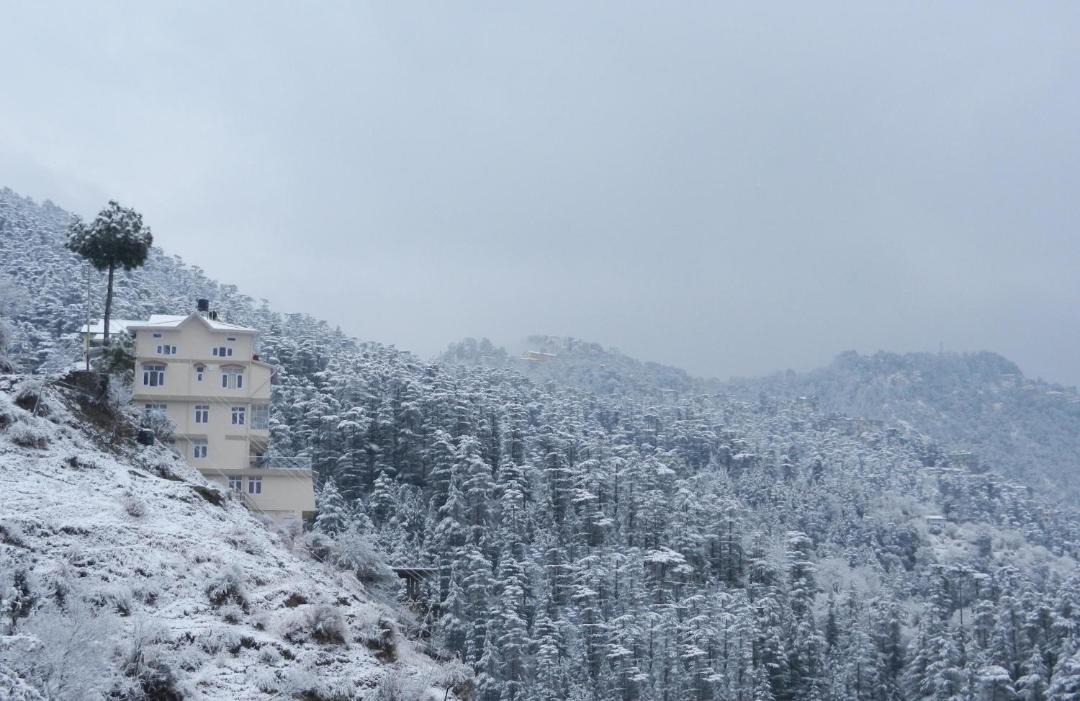 Photo of Others in Shimla