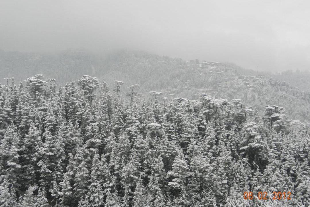 Photo of Others in Shimla