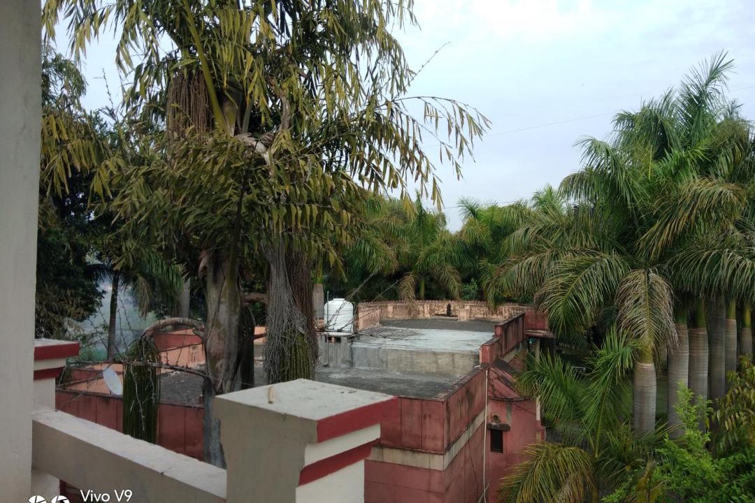 Photo of Patio Balcony in Raiwala