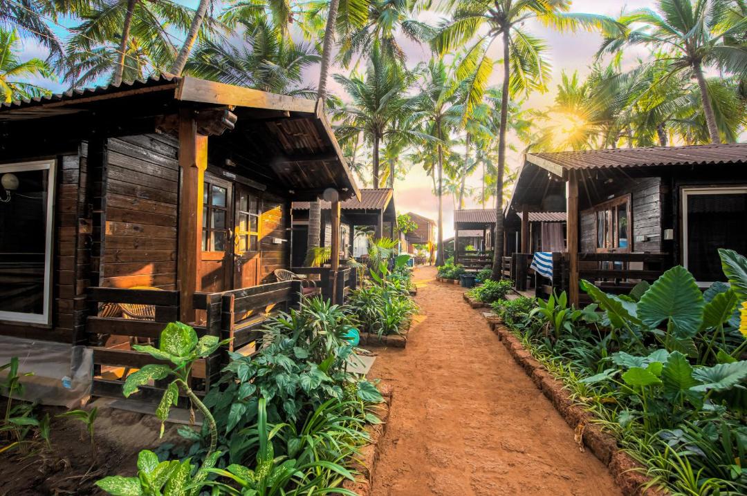Photo of Others in Agonda