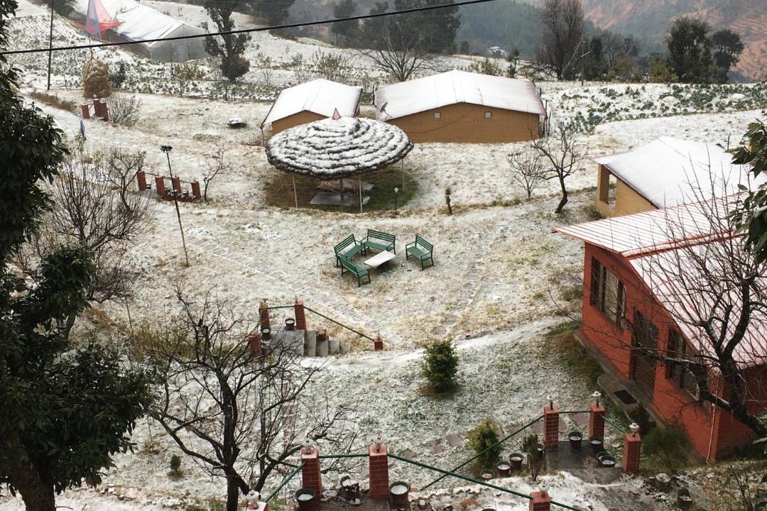 Photo of Others in Kanatal