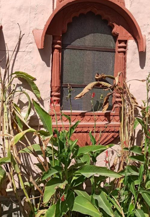 Photo of Buildings in Gulab Sagar