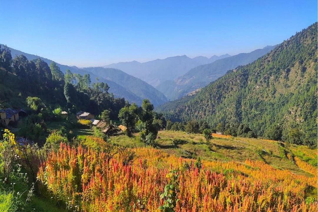 Photo of Others in Chamoli