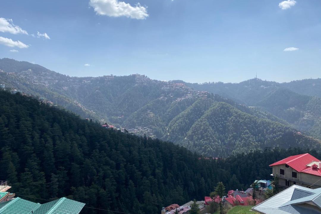 Photo of Others in Shimla