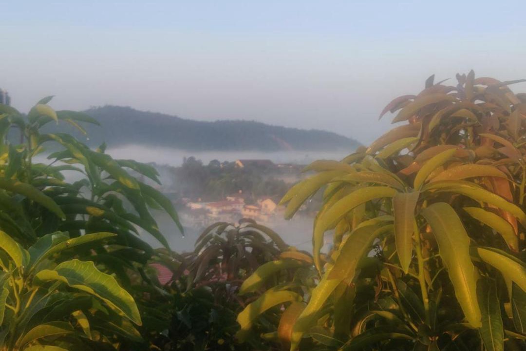 Photo of Outdoor in Madikeri