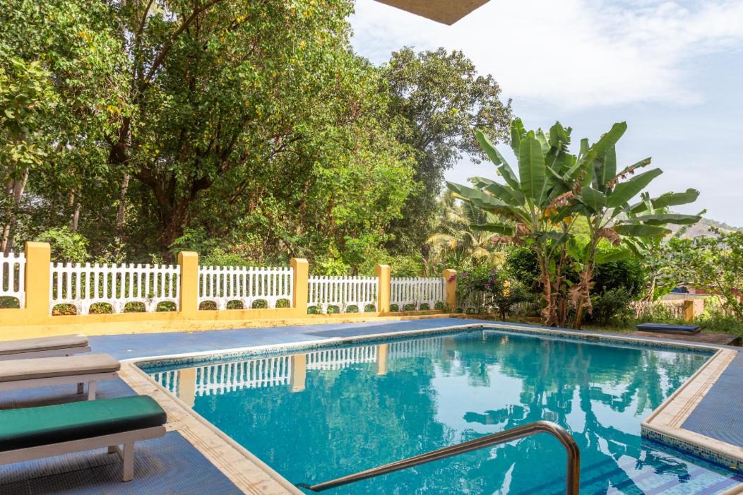 Photo of Outdoor in Candolim