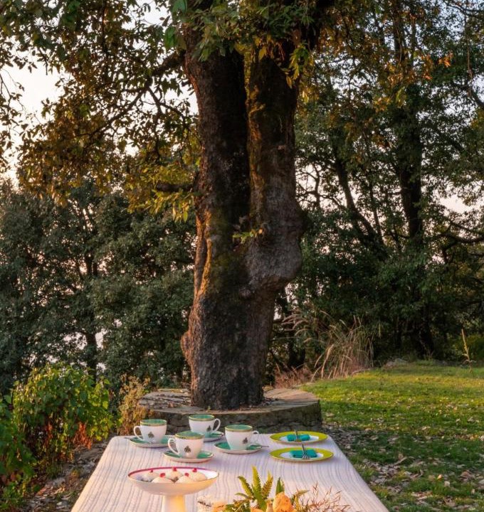 Photo of Outdoor in Binsar