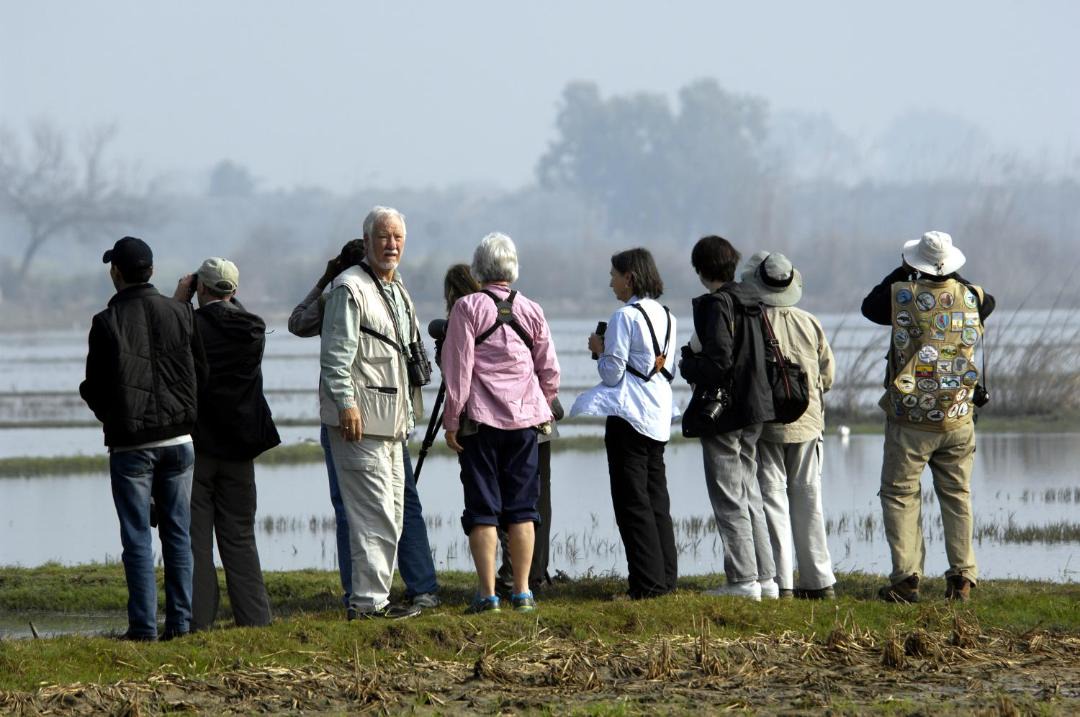 Photo of Human In Picture in Bharatpur