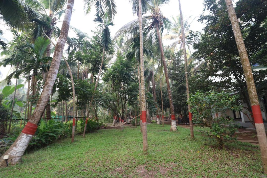 Photo of Others in Nagaon