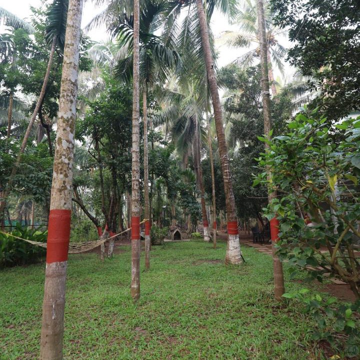 Photo of Others in Nagaon