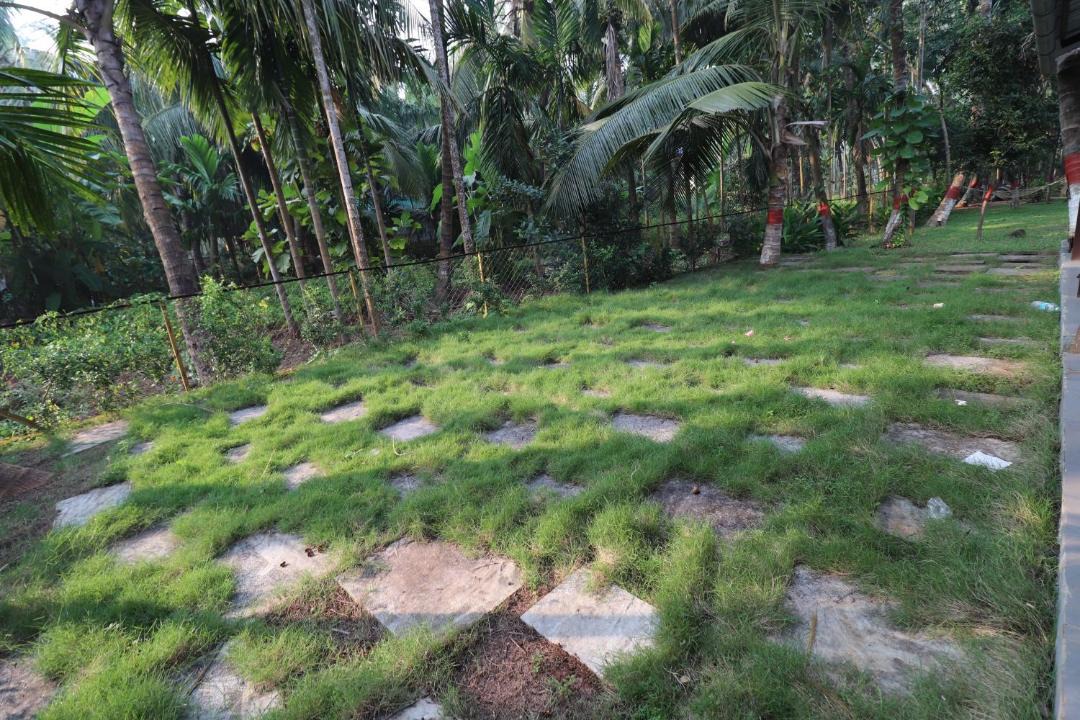 Photo of Others in Nagaon