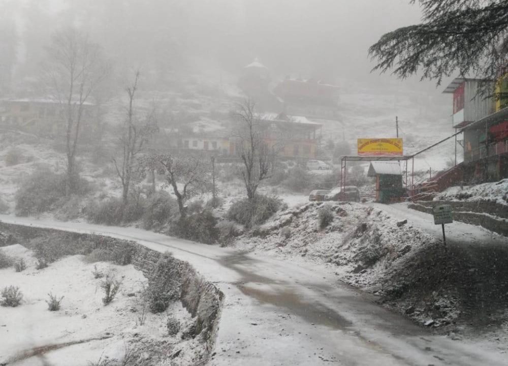 Photo of Others in Shimla